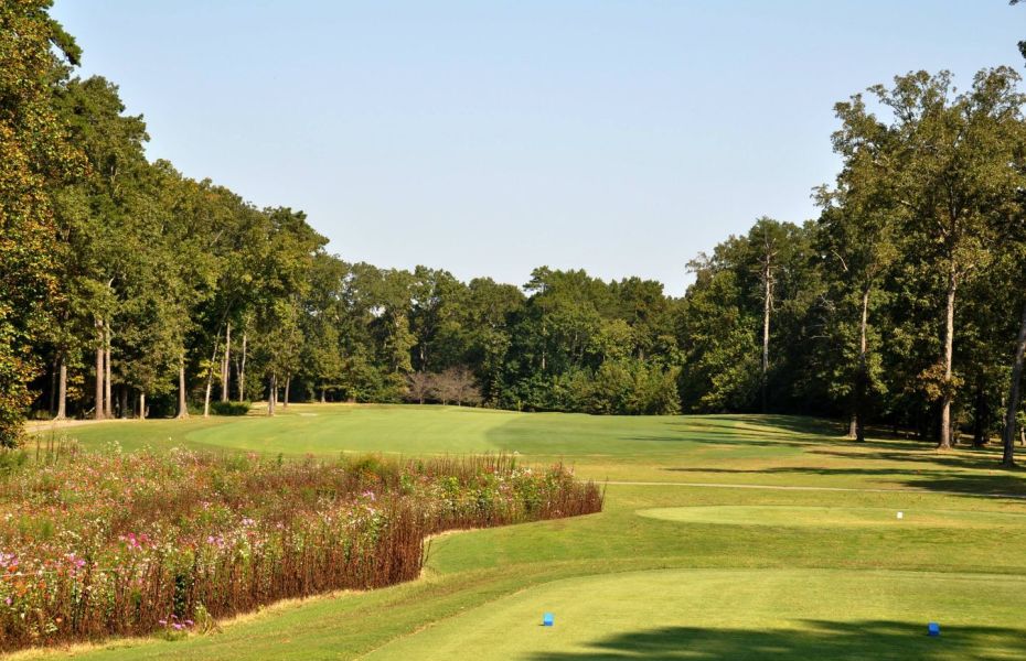 Featured image for “Why Amateur Golf In Tennessee Is Right For You”