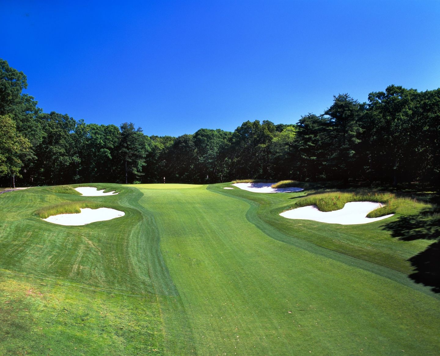 amateur players tour at Bethpage state park golf course