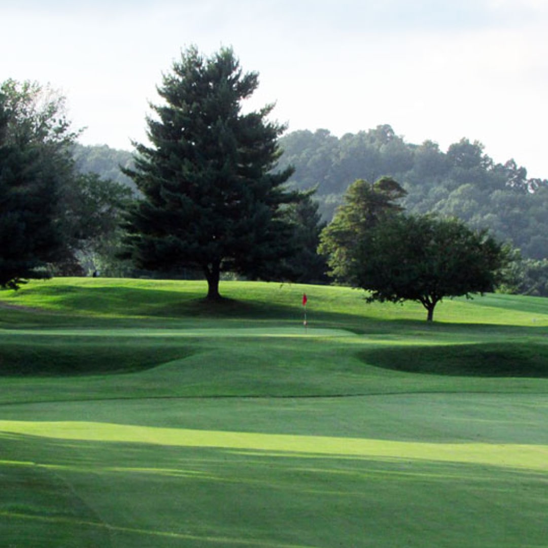 Featured image for “Elks Country Club Tournament Results”