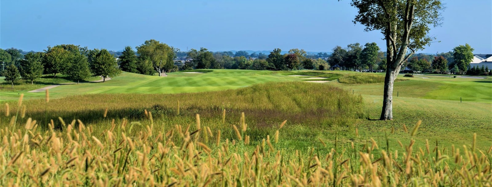 Featured image for “Tennessee Grasslands Golf Tournament Results”