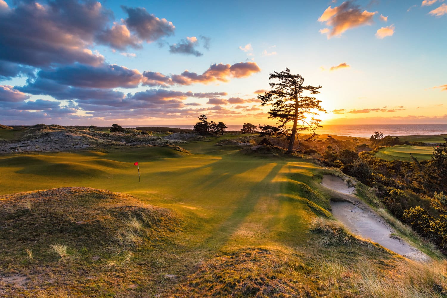 Featured image for “2022 Bandon Dunes Golf Tournament Results”
