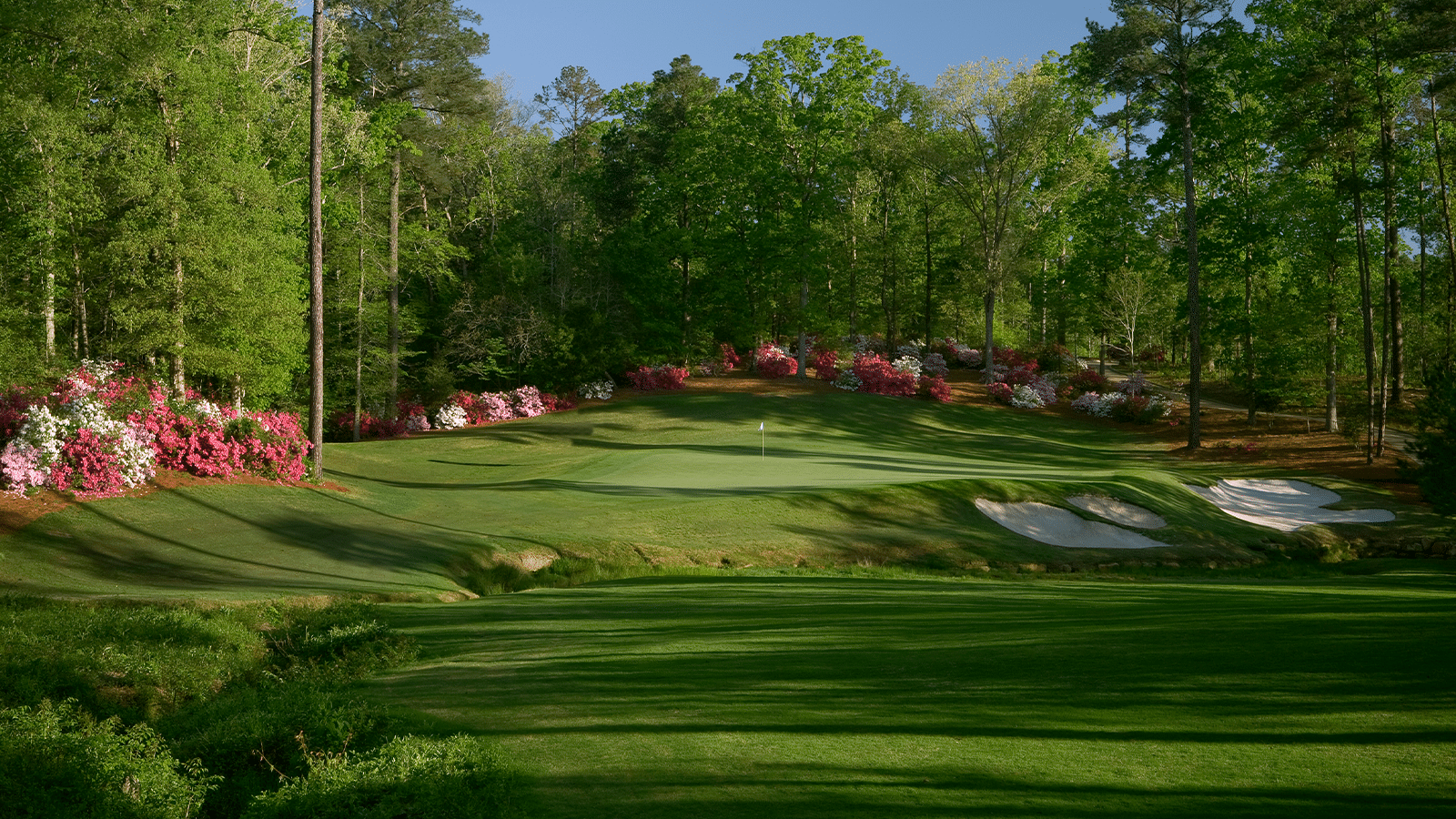 Featured image for “2024 Mississippi Open at Dancing Rabbit”